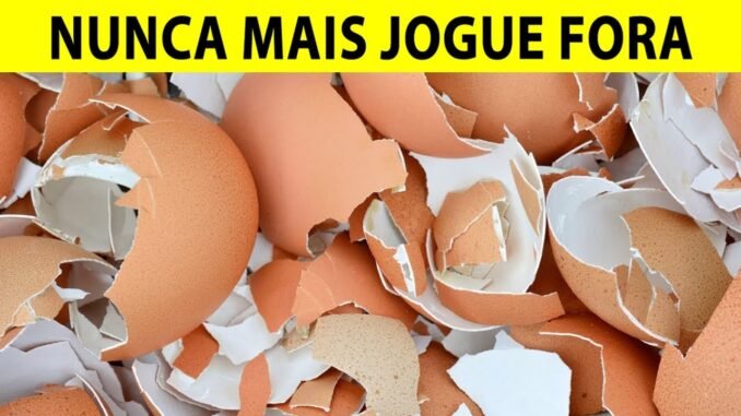 Razões Para Não jogar a CASCA DE OVO no Lixo