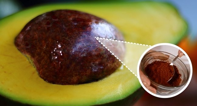 Benefícios do caroço de abacate